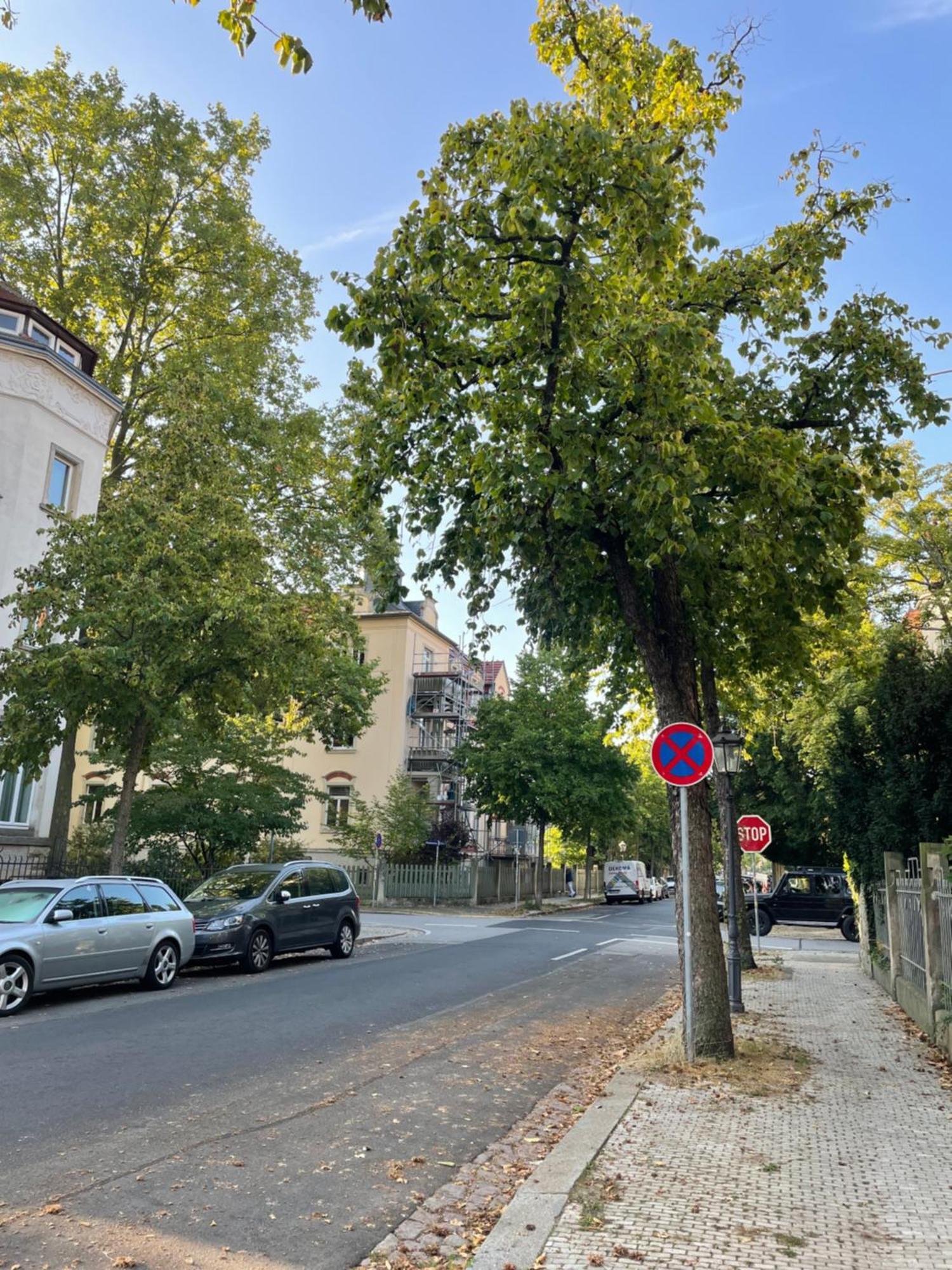 Toni Charming Apartment Im Idyllischem Villenviertel Mit Netflix Dresden Exterior foto